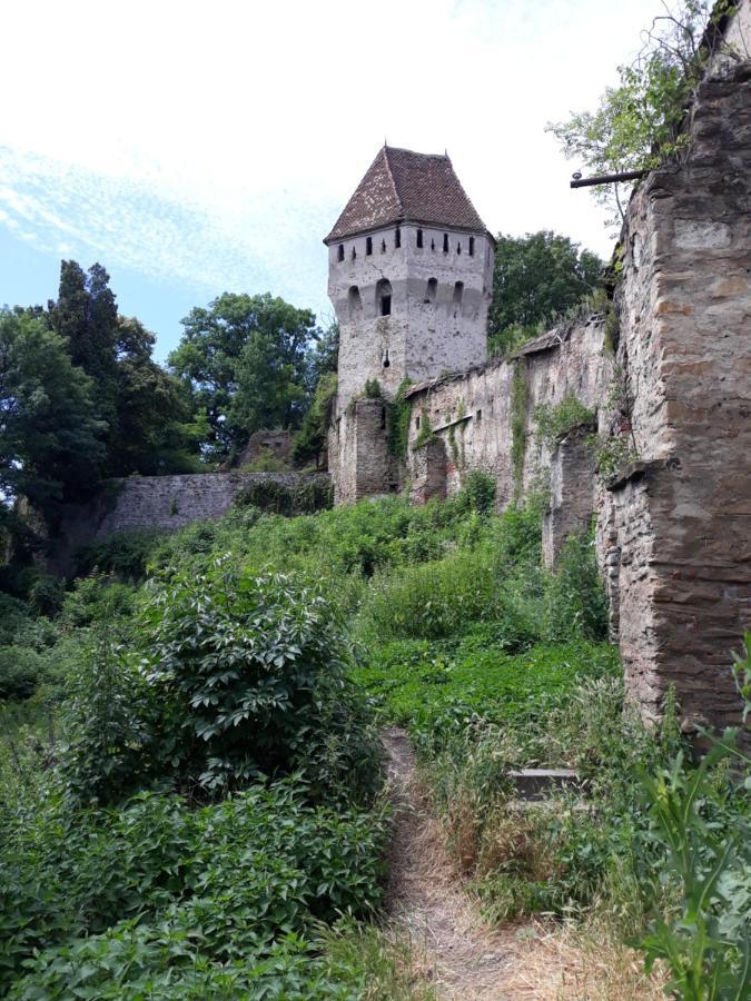 Апартаменты Casa Marcus Сигишоара Экстерьер фото